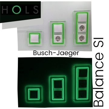 Lichtschalter und Steckdose Busch-Jaeger Balance SI